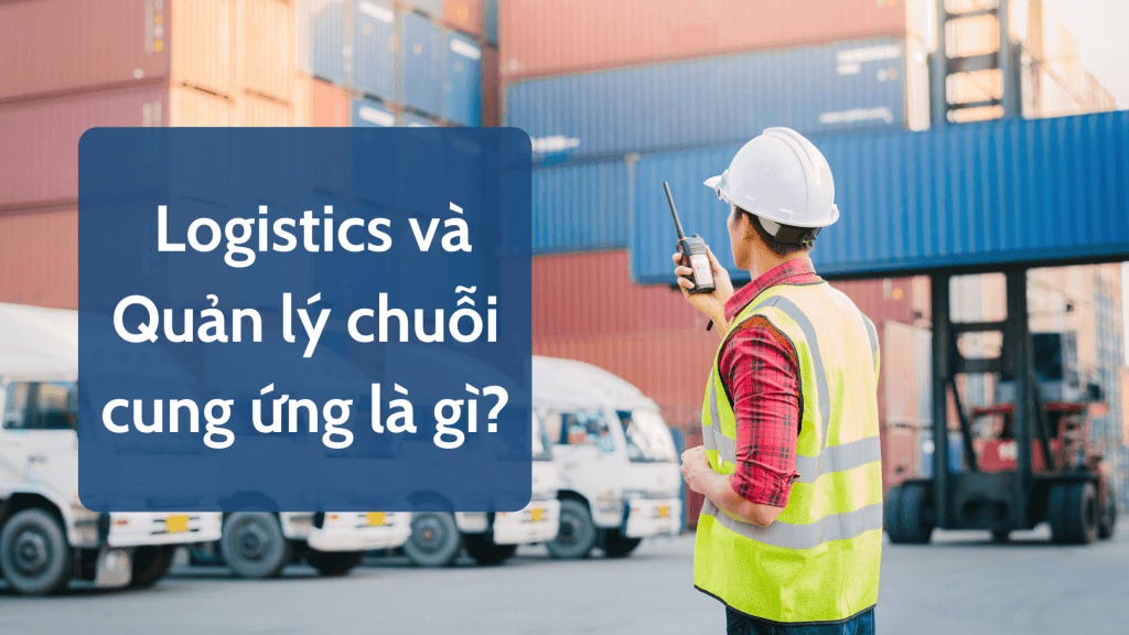 Ngành logistics và quản lý chuỗi cung ứng là gì? Tầm quan trọng của ngành logistics